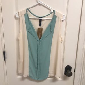 Francesca’s Cream and Mint Blouse
